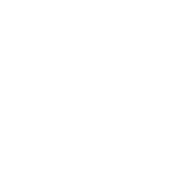 Server