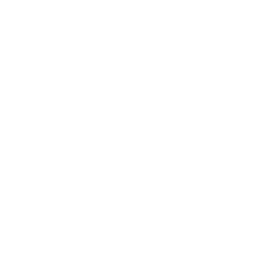 Netzwerk